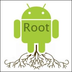 anydroid root